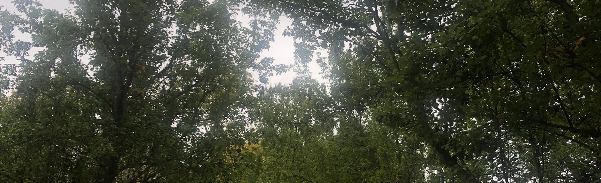 Renwick Path 43 Reviews, Map Indiana AllTrails