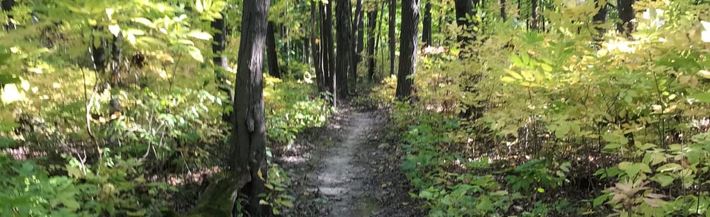 Beulah Park Trails