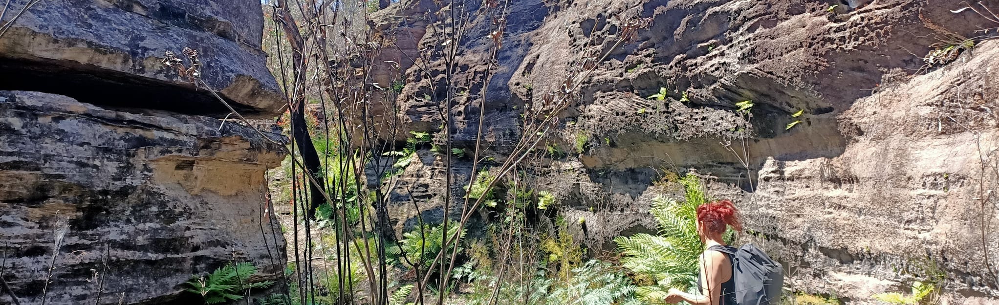 Hole in the Wall Canyon, New South Wales, Australia 6 Reviews, Map AllTrails