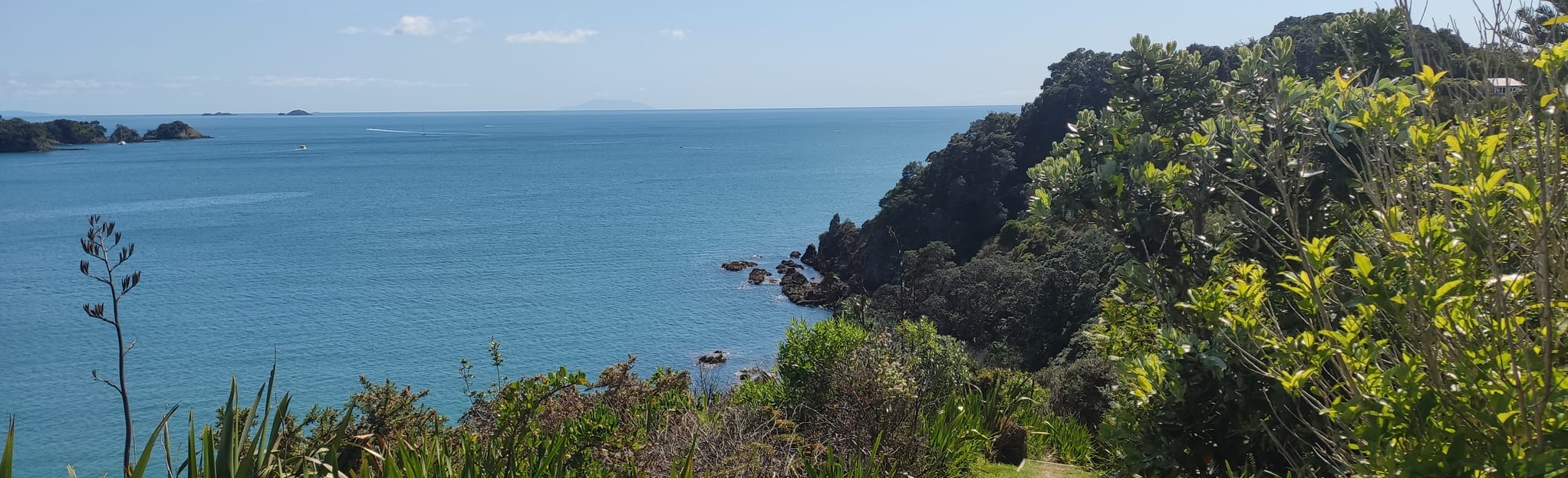 Fishermans Rock Track, Auckland, New Zealand - 22 Reviews, Map | AllTrails