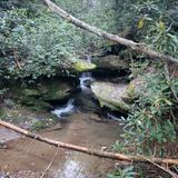 Bartram Trail to Chattooga River Trail, Georgia - 158 Reviews, Map ...