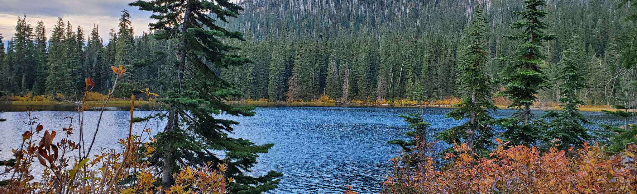 Escape to Idaho's Gem: Jefferson County Lake Park - Where Adventure Awaits!