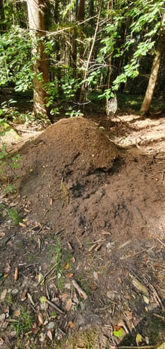 Naherholungsgebiet Obere Wagensass 2