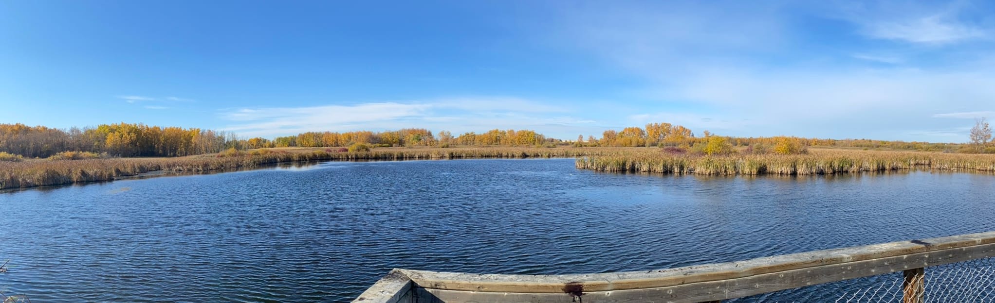 Springbrook Loop, Alberta, Canada 35 Reviews, Map AllTrails