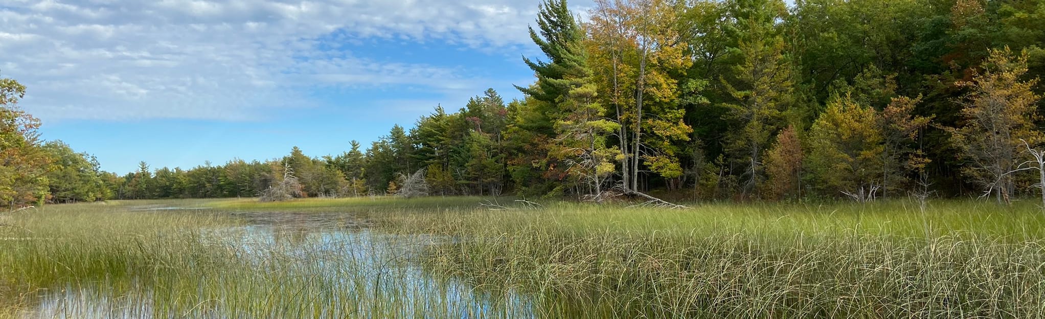 Peterson Road Beach from Platte River Campground, Michigan 39 Reviews
