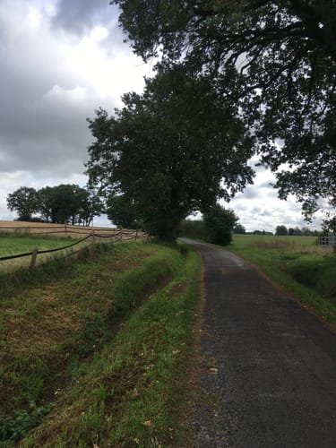 Von Waddenhausen zur Ziegelei Lage
