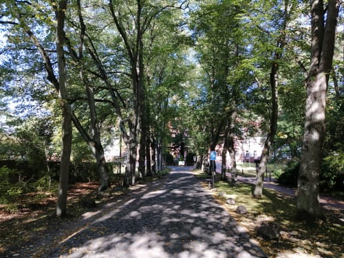 Terrainkurweg 03 Bad Belzig