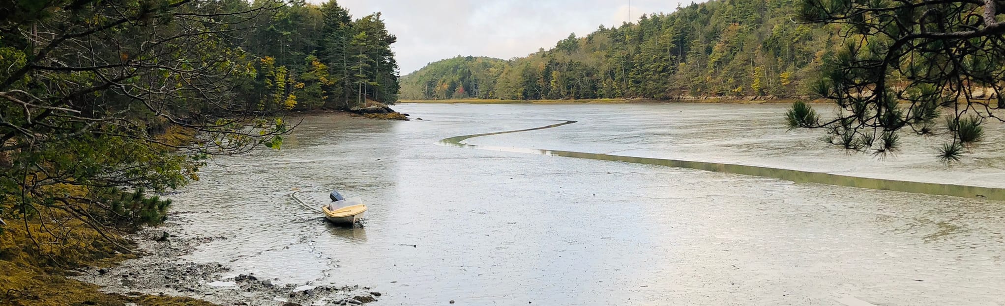 Long Reach Preserve Long Reach Loop, Maine 188 Reviews, Map AllTrails