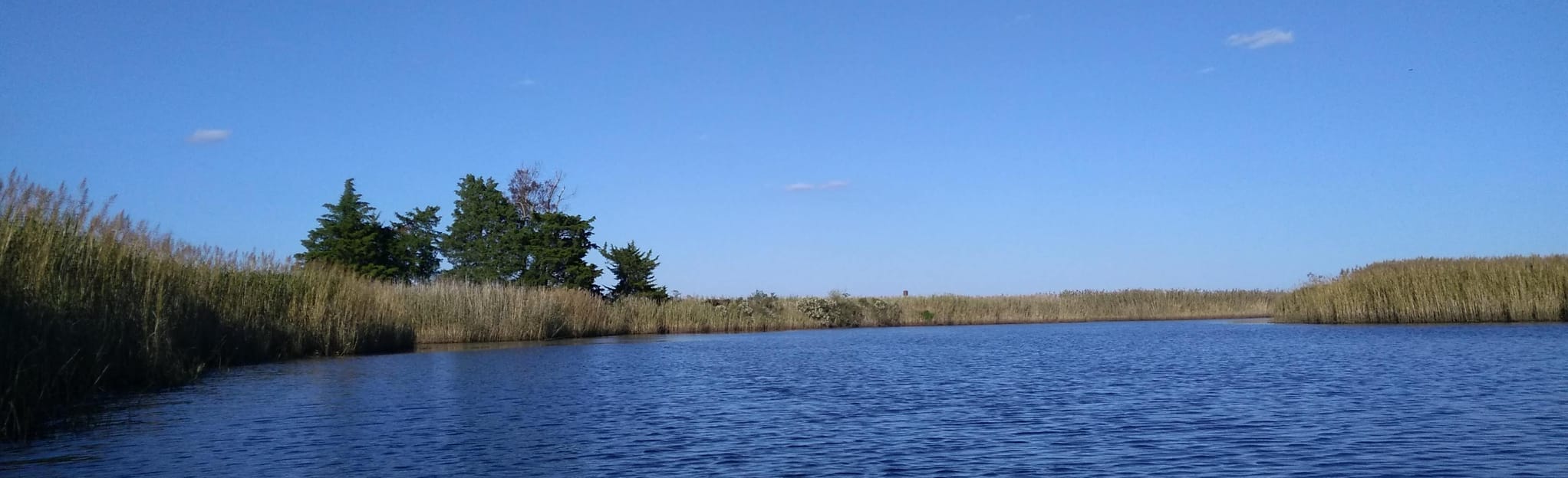 Landing Creek Paddle, New Jersey 4 Reviews, Map AllTrails