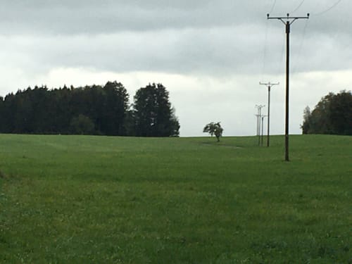 Altdorfer Wald ab Vogt