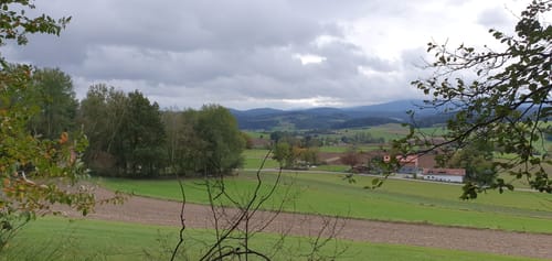 Rundwanderweg Zandt - Miltach - Zandt (Za04)