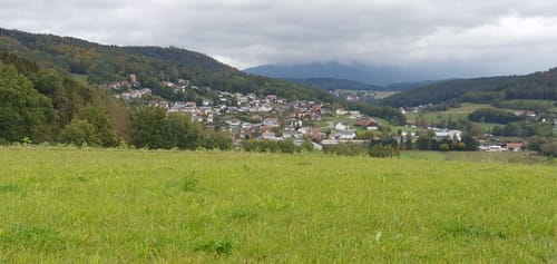 Rundwanderweg Zandt - Miltach - Zandt (Za04)