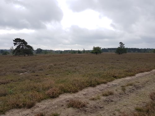 Heide Region Radweg 16