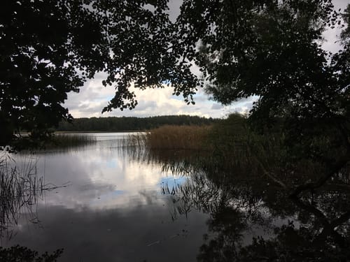 Runde am Lübbesee