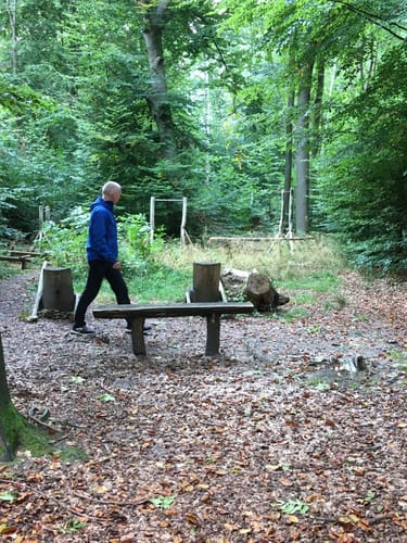 Runde am Lübbesee