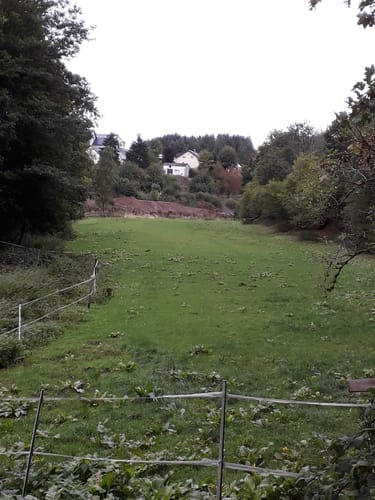 Plütscheid (Naturpark Südeifel Wanderweg Nr. 20)