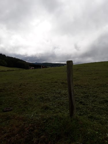 Plütscheid (Naturpark Südeifel Wanderweg Nr. 20)