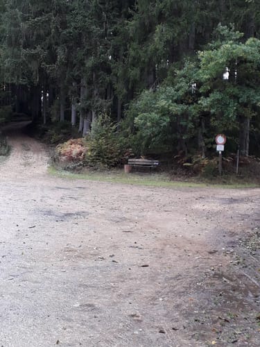 Plütscheid (Naturpark Südeifel Wanderweg Nr. 20)