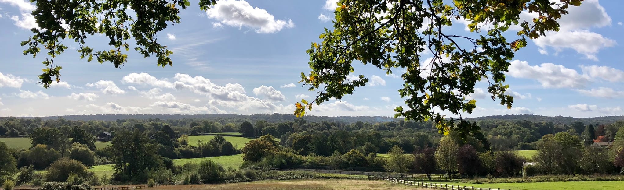 Forest Way East Grinstead and Forest Row, West Sussex, England 95