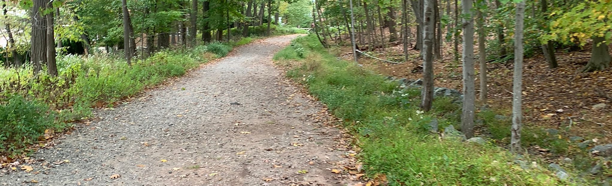 Eagle Rock Red Trail Loop 1441 Reviews, Map New Jersey AllTrails