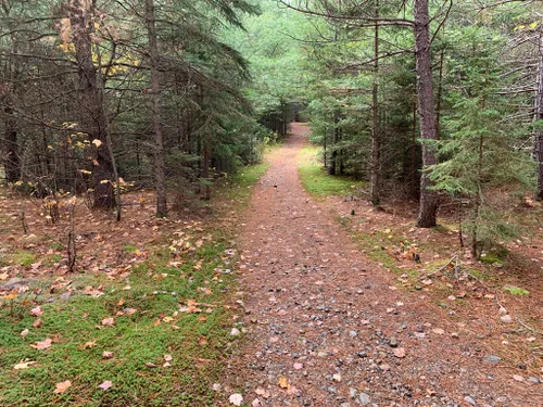 algonquin park mountain biking