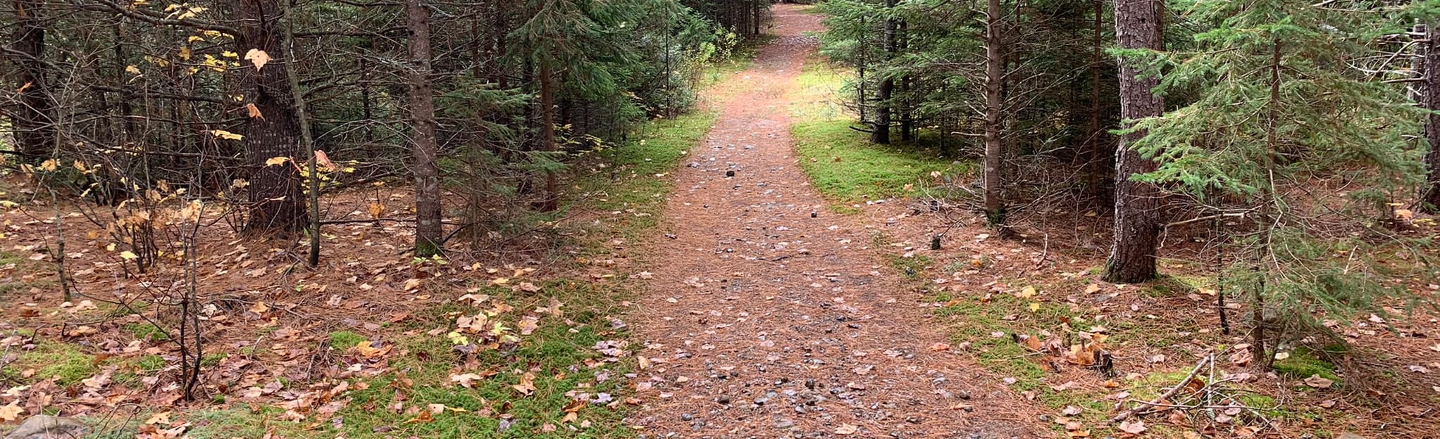 Minnesing Bike Trail, Ontario, Canada 58 Reviews, Map AllTrails