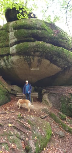 Runde im Schlosspark Falkenstein
