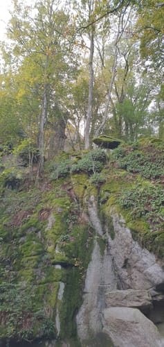 Runde im Schlosspark Falkenstein