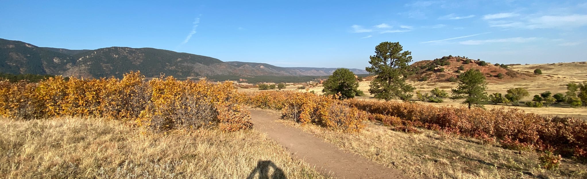 Gambel Oak Loop, Colorado 12 Reviews, Map AllTrails