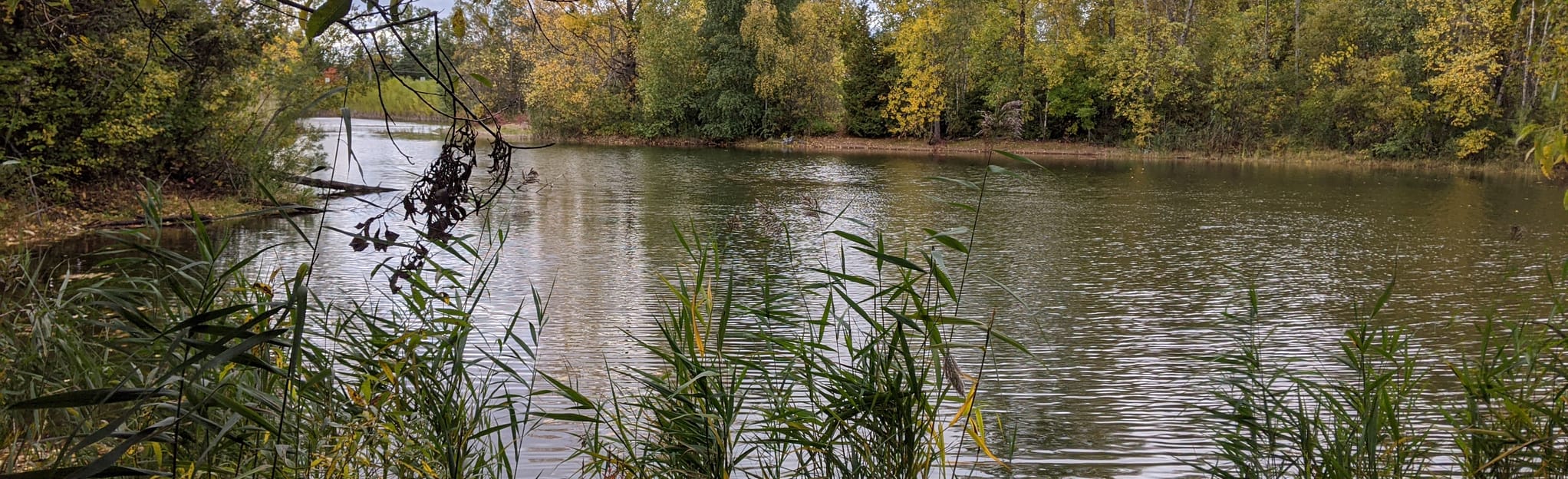 Sentier Complet du Parc des Parulines 80 Fotos Québec, Kanada AllTrails