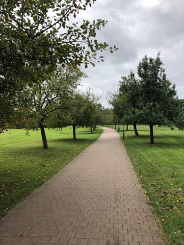 Langenhagener Stadtpark