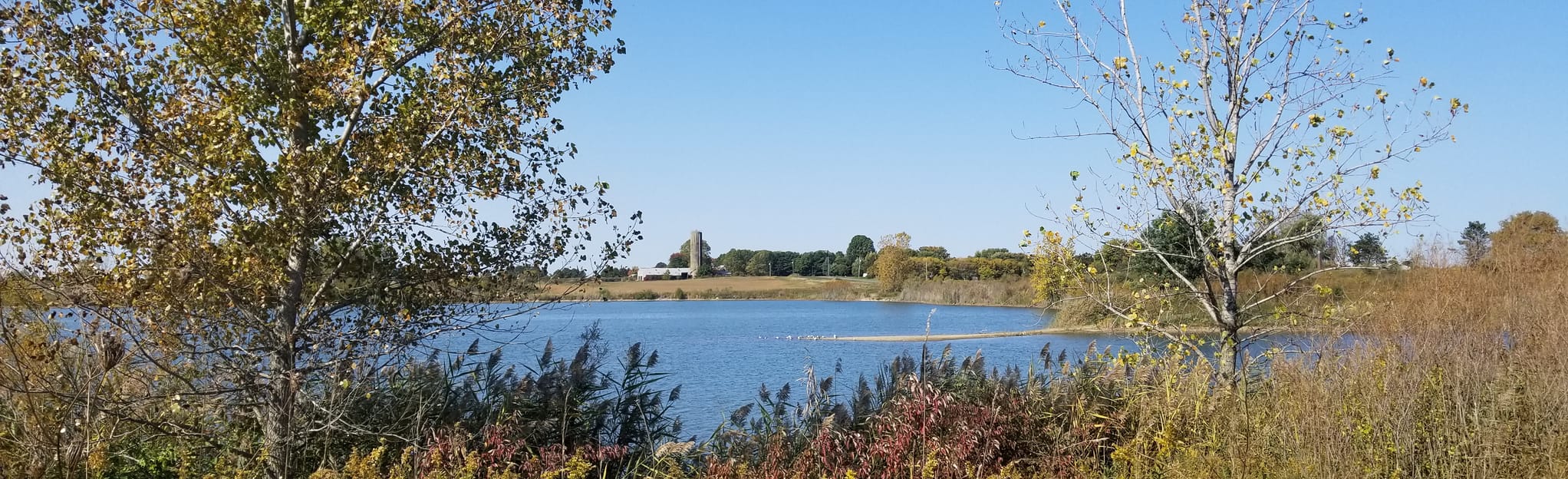 Primitive Loop Trail, Ohio 17 Reviews, Map AllTrails