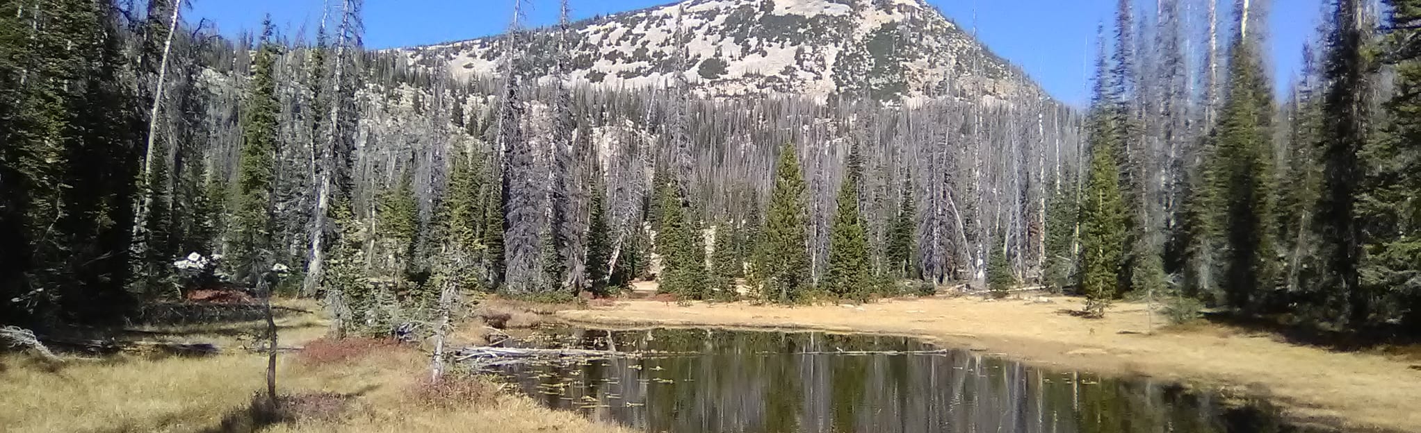 Smith Morehouse Trail 38 Reviews, Map Utah AllTrails