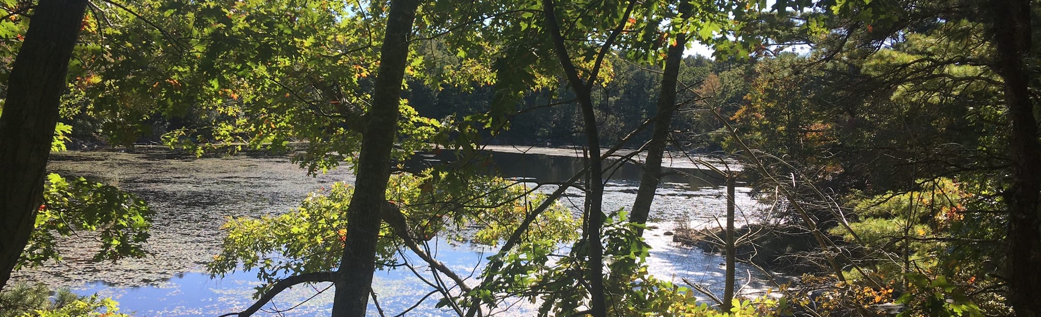 Bull Head Pond via Yellow, Red and Green Trail Loop, Rhode Island 438