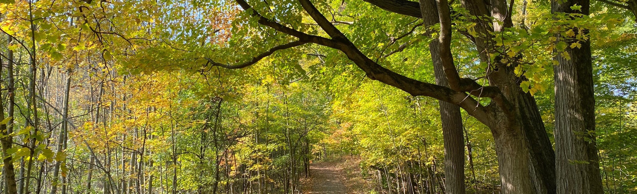 Spring Creek Trail HamiltonBrantford Rail Trail 141 Reviews, Map