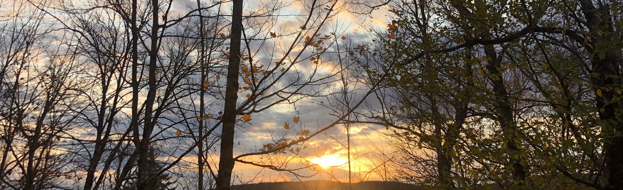 The Lake Francis Trail, New Hampshire 14 Reviews, Map AllTrails