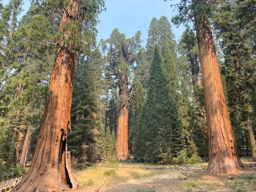 Sequoia national 2025 park alltrails