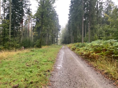Sommerberg -Soldatenbrunnenhütte