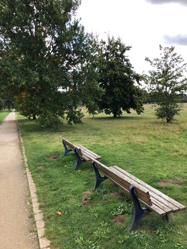 Im Wietzepark