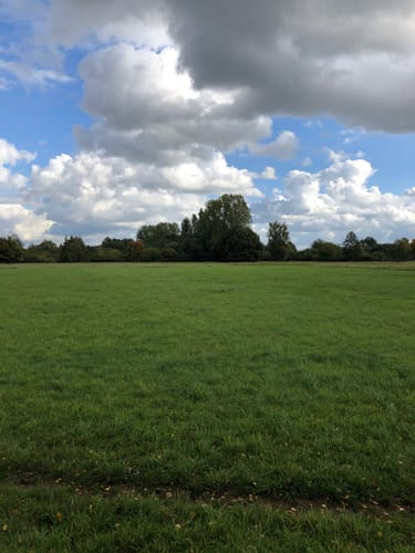 Im Wietzepark