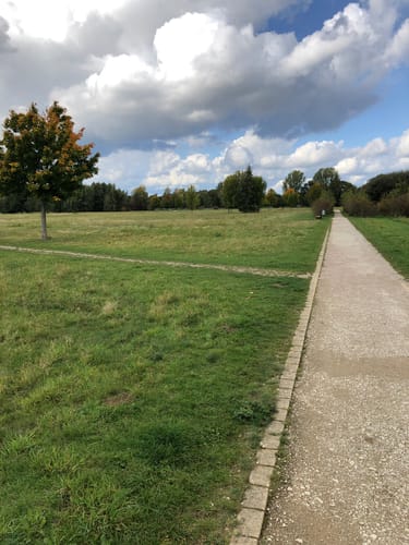 Im Wietzepark