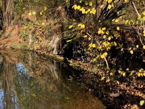 Schlosspark Monrepos