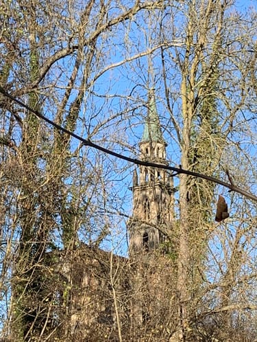 Schlosspark Monrepos