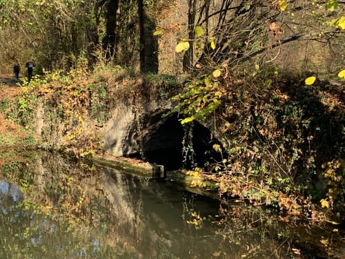 Schlosspark Monrepos