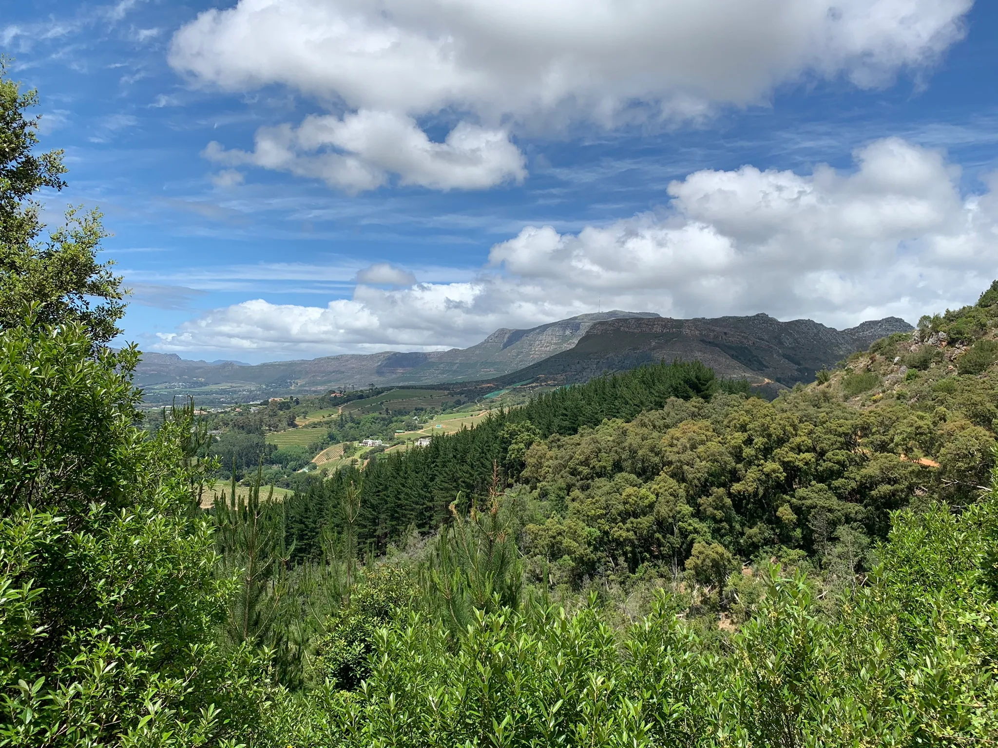 Photo of a trail from Gavin Robertson with title Constantia Nek to Kirstenbosch via Contour Path