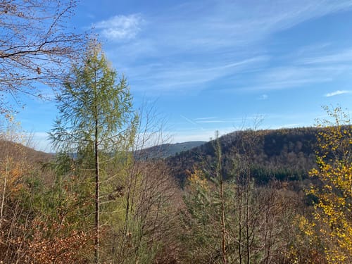 Mölschbach und Stüterhof Rundweg