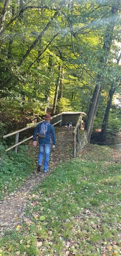 Walderlebnisweg Oehrbachtal