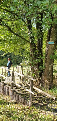 Walderlebnisweg Oehrbachtal