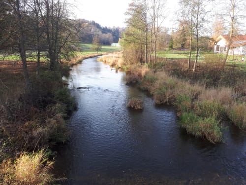 Kellerwaldsteig Etappe 1: Frankenau - Oberorke