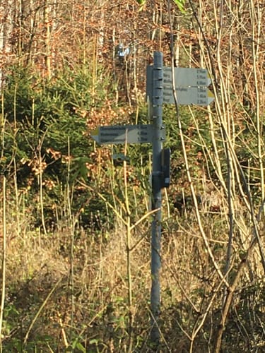 Altdorfer Wald ab Vogt